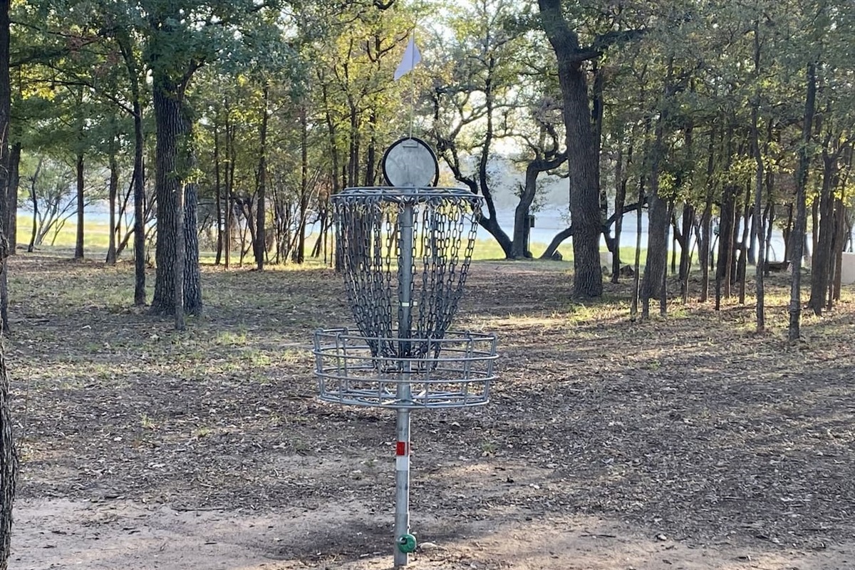 Disc Golf in Park