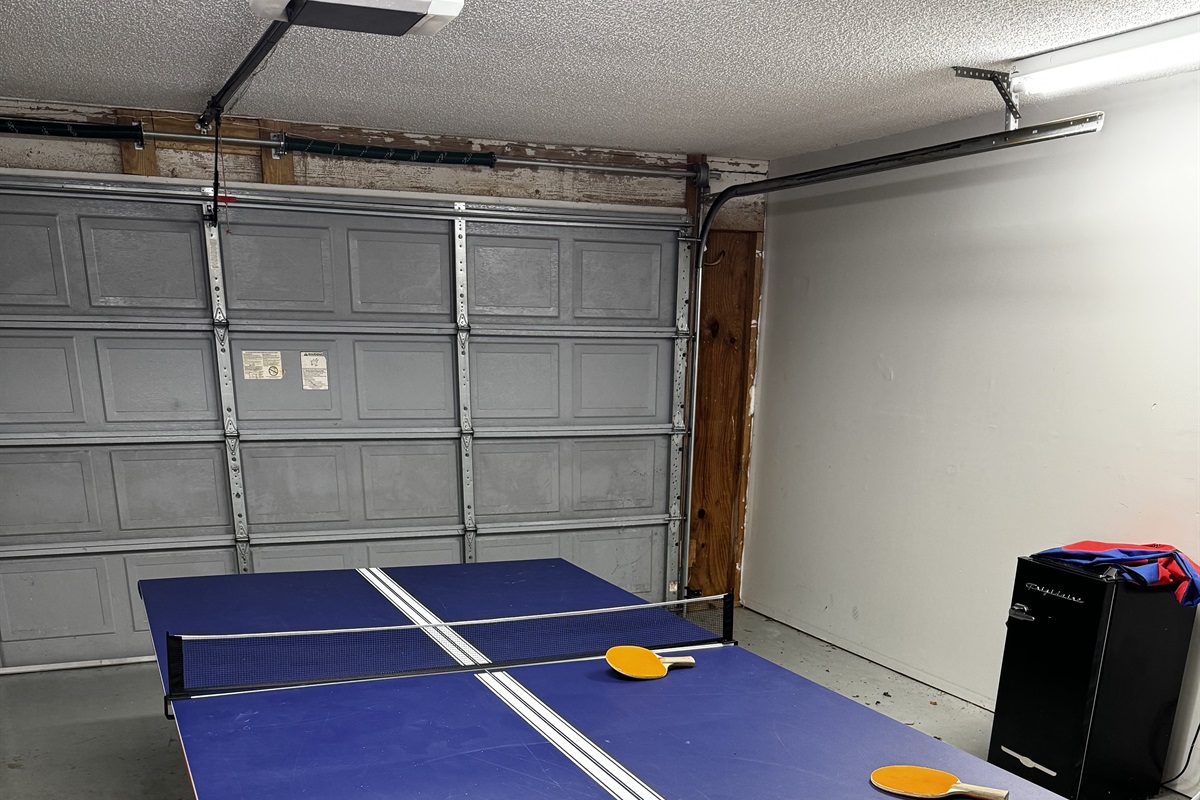 Ping Pong Table