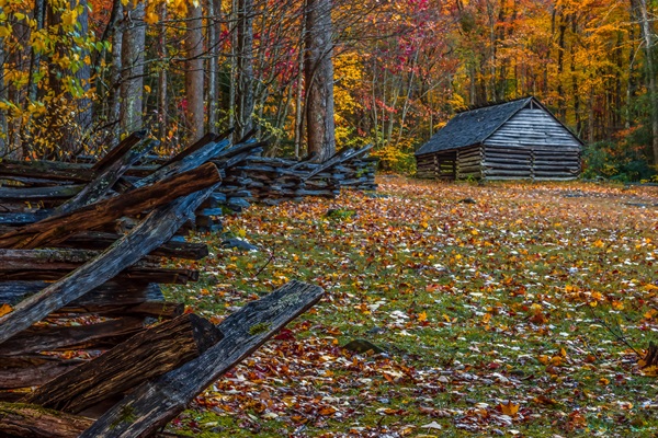 Plan a Trip to See the Roaring Fork Cabin