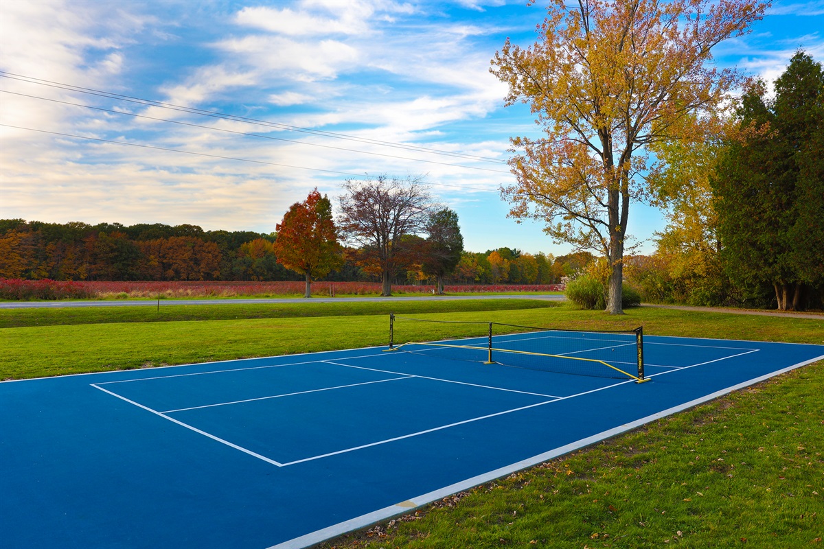 Pickleball Court