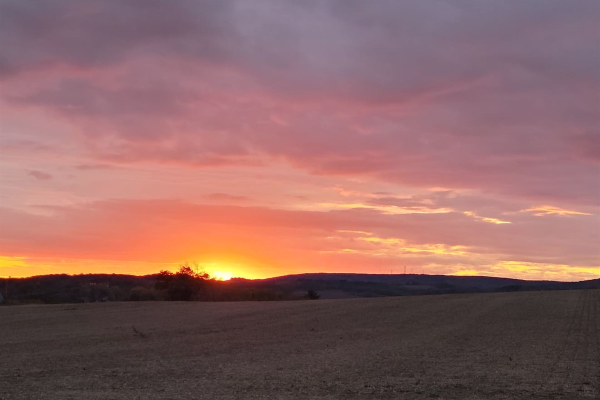 sunset over a local farm field