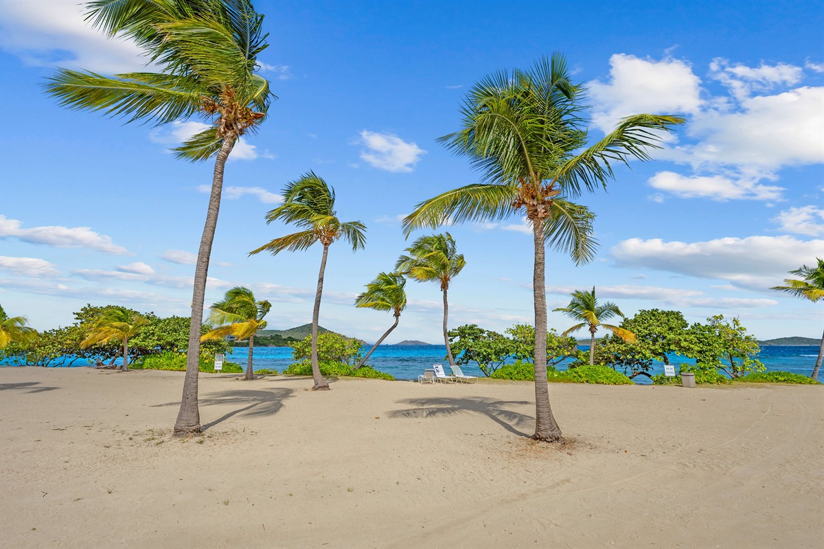 Gorgeous Sapphire beach only steps from your door