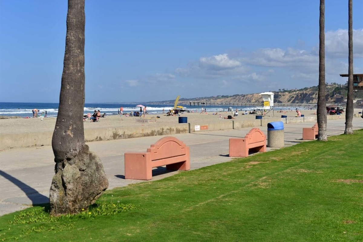 La Jolla Shores Beach right across the street