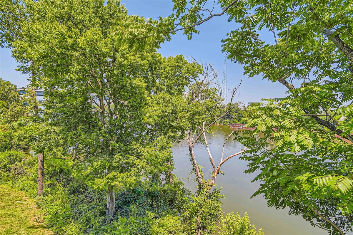 Cumberland River
