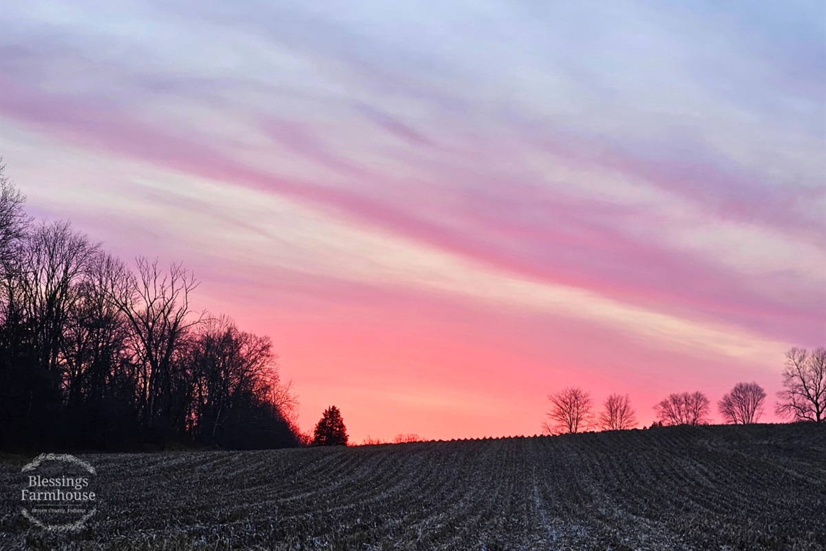 The neighboring land is family-owned farm ground.