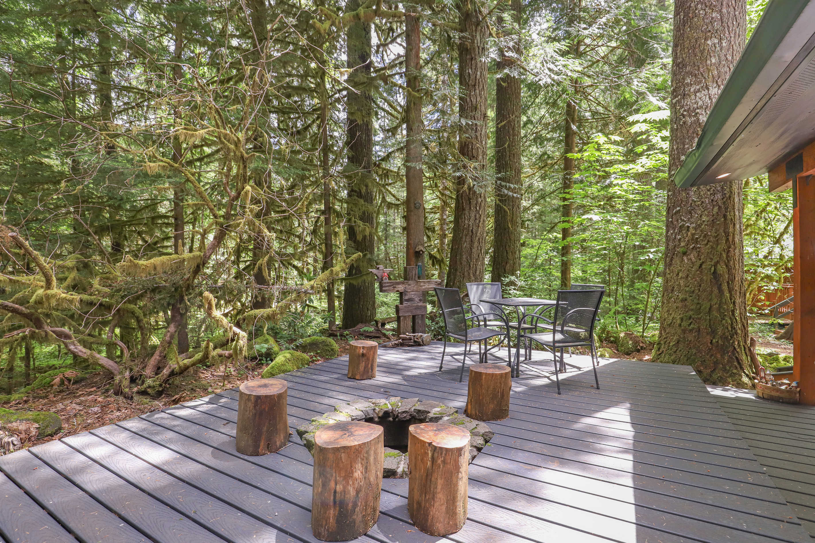 Back Deck Looking Into the Woods & River