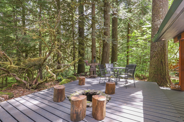 Back Deck Looking Into the Woods & River