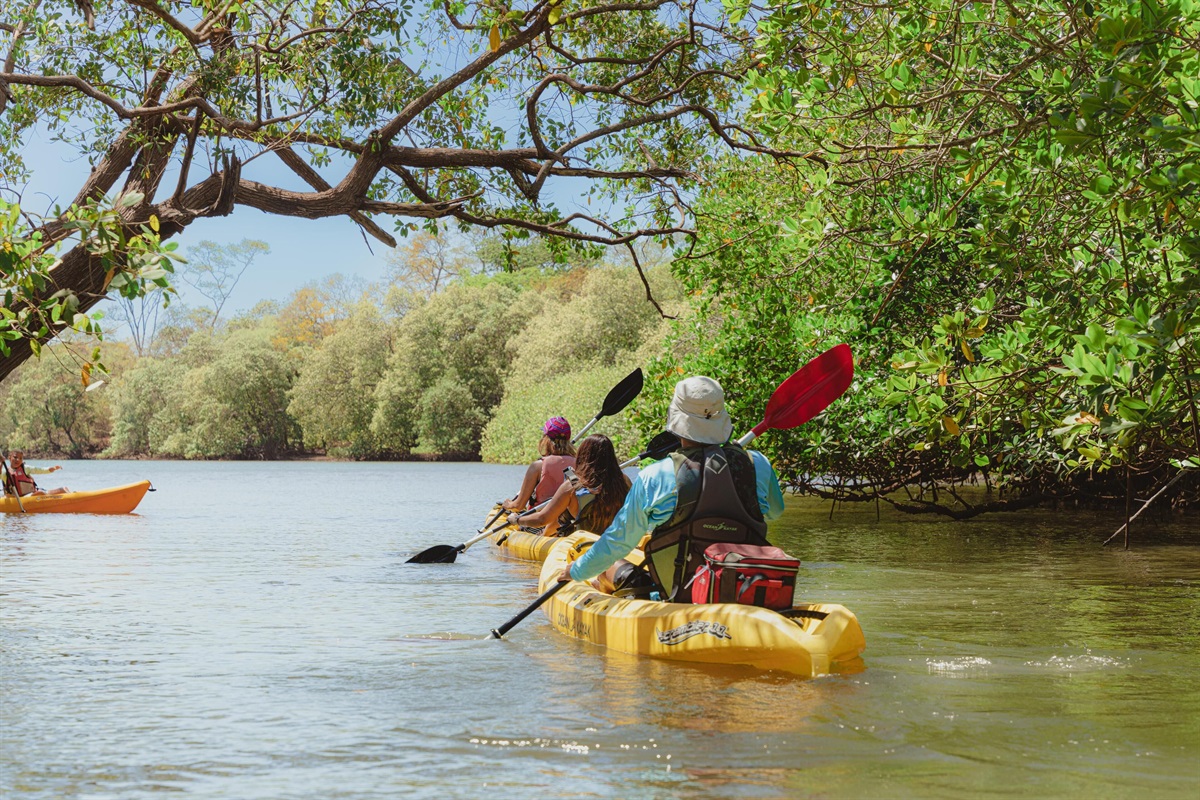 Kayak Tour by BZE
