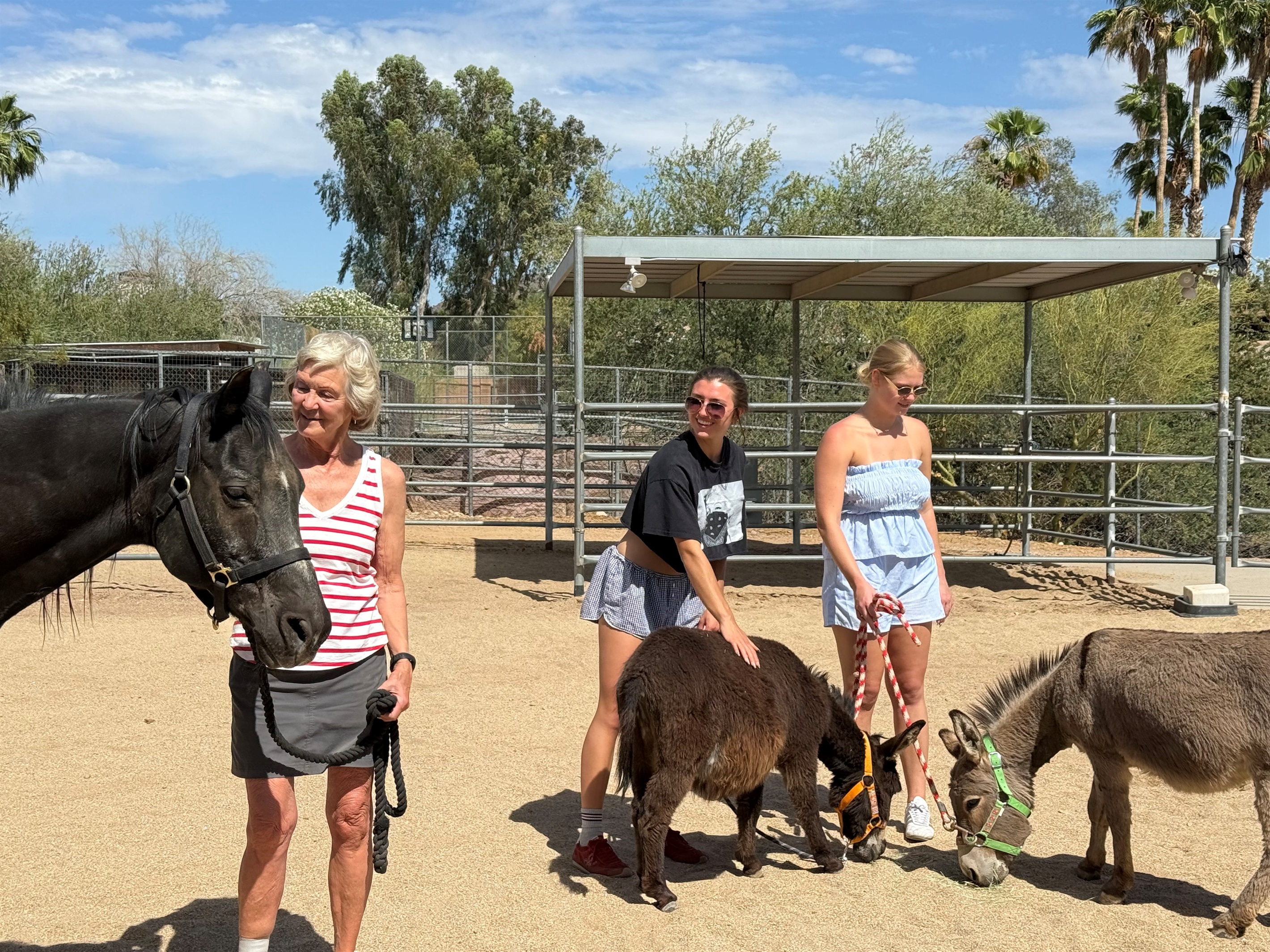Guests love to hang out with Eeyore, Cowboy & Vader!