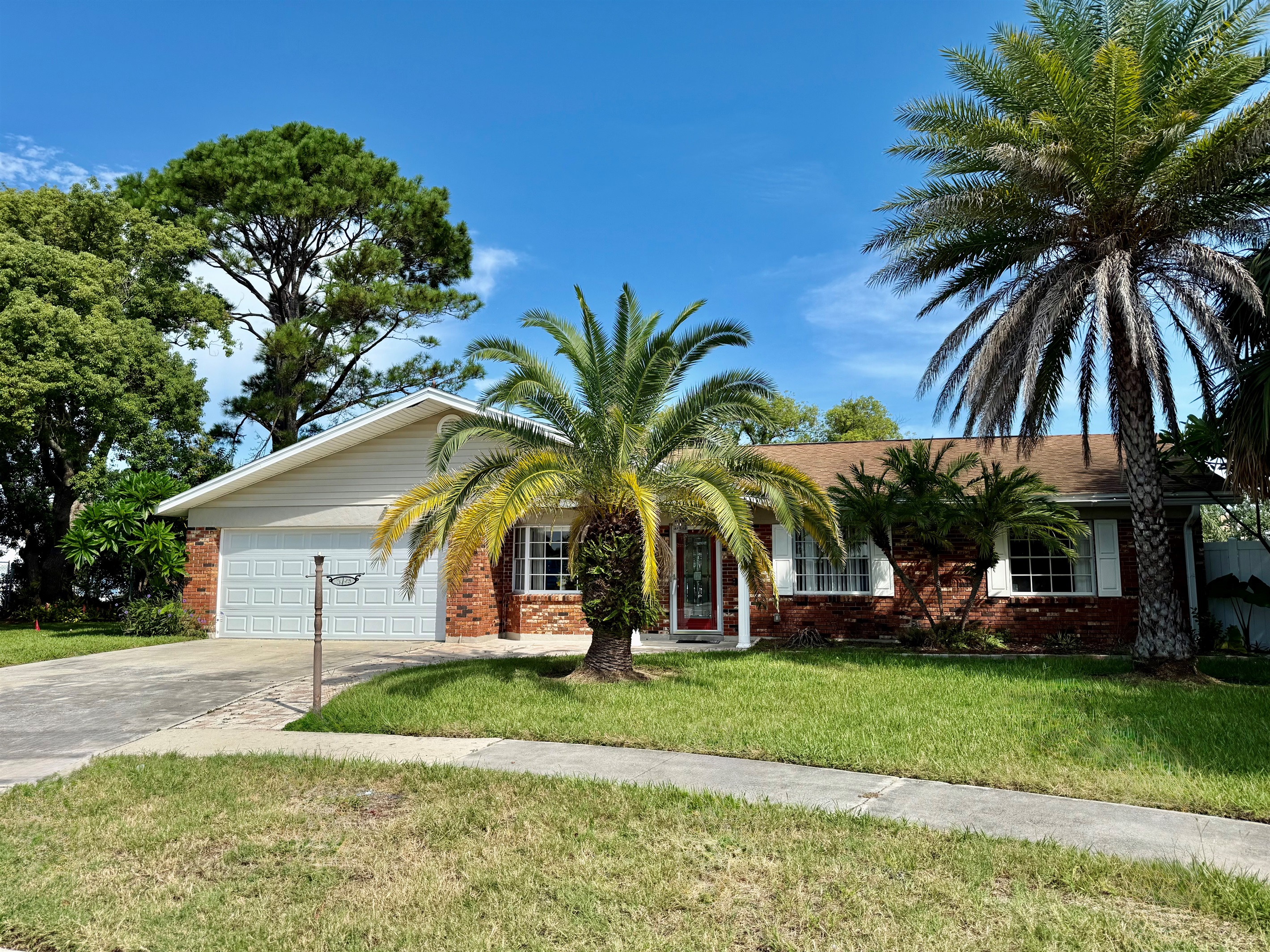 Front Yard