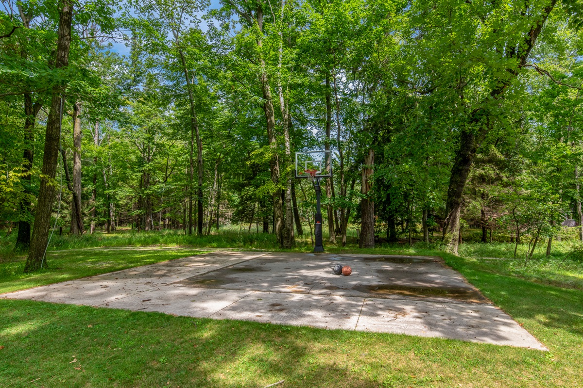Basketball in the woods.