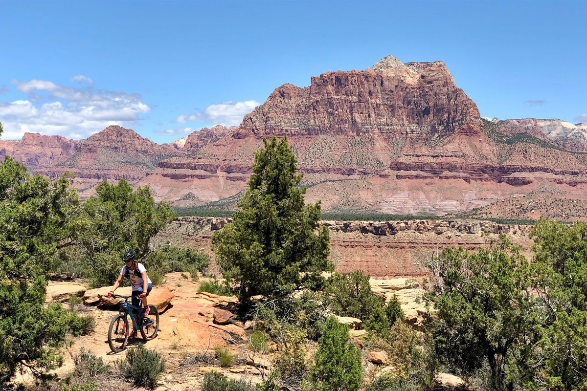 World-Class Mountain Bike Trails