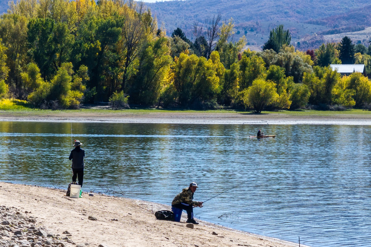 Fishing on Pineview