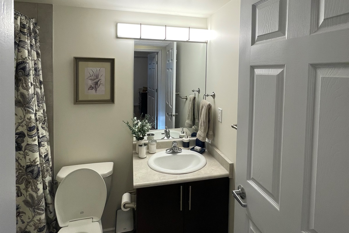 Main bathroom, full size tub/shower.