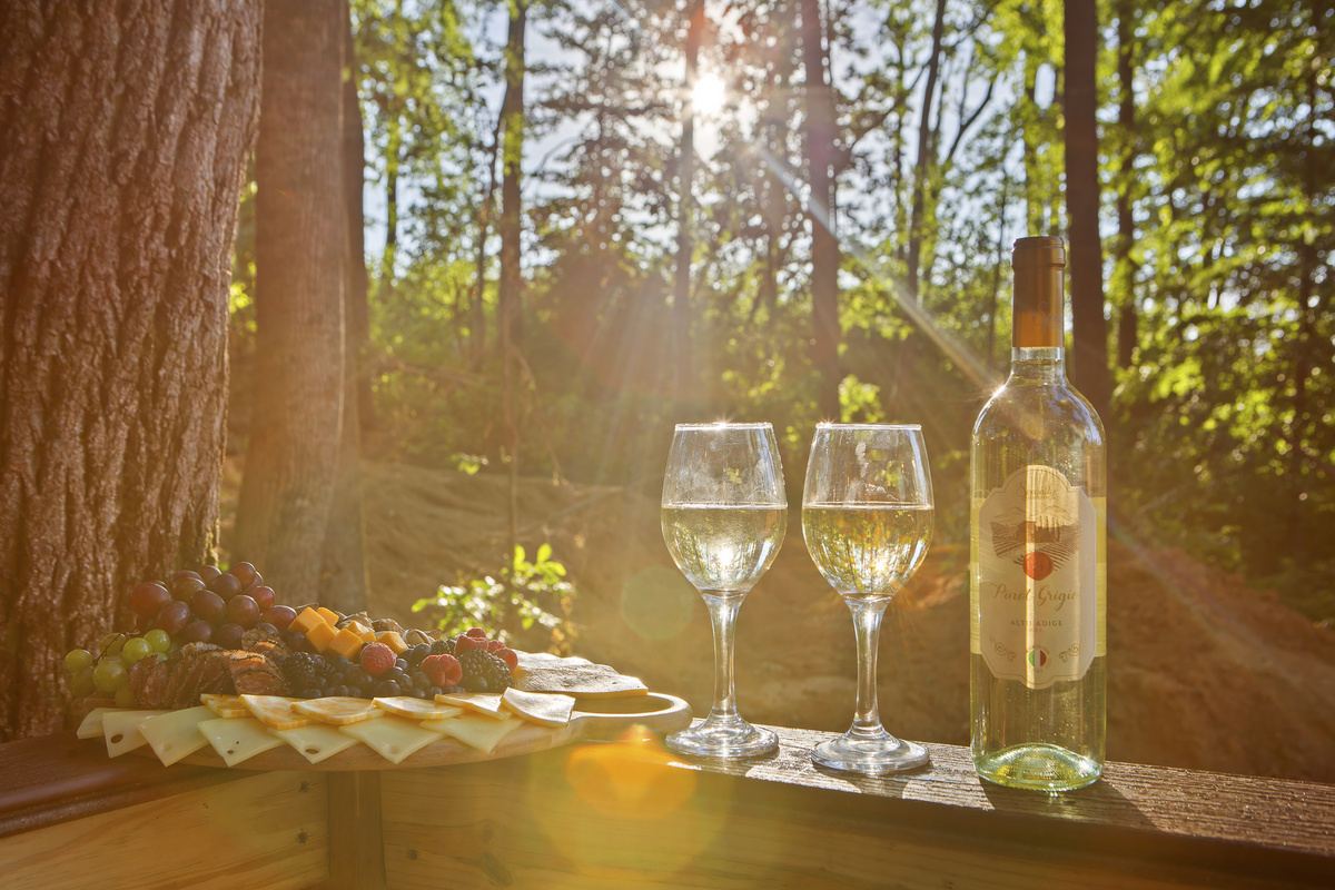 Outdoor Dining Experience: Savor local wines & bites surrounded by nature's beauty!