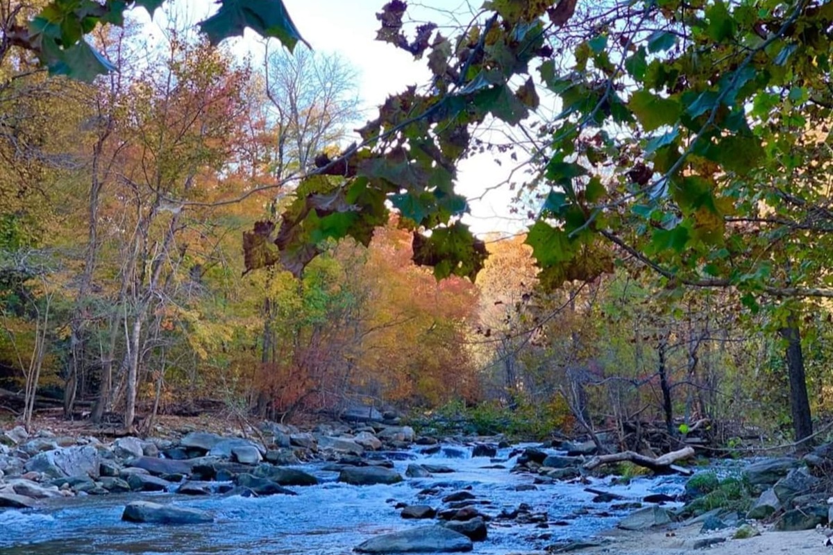 French Broad River - private access in Riverbend.
