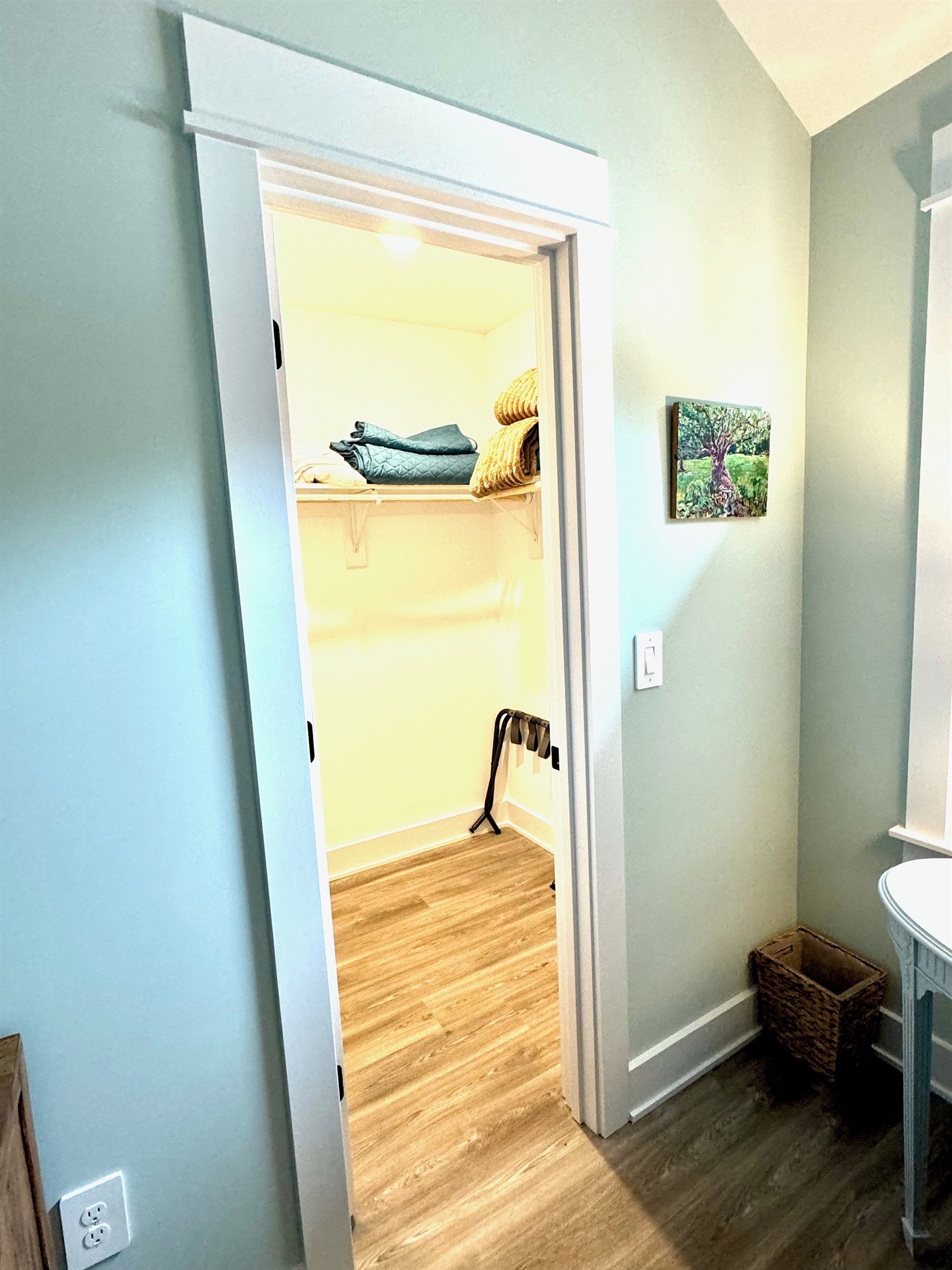 Walk in closet