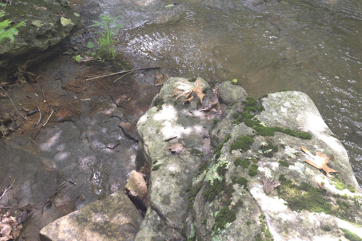Waterfall Next To The Cabin
