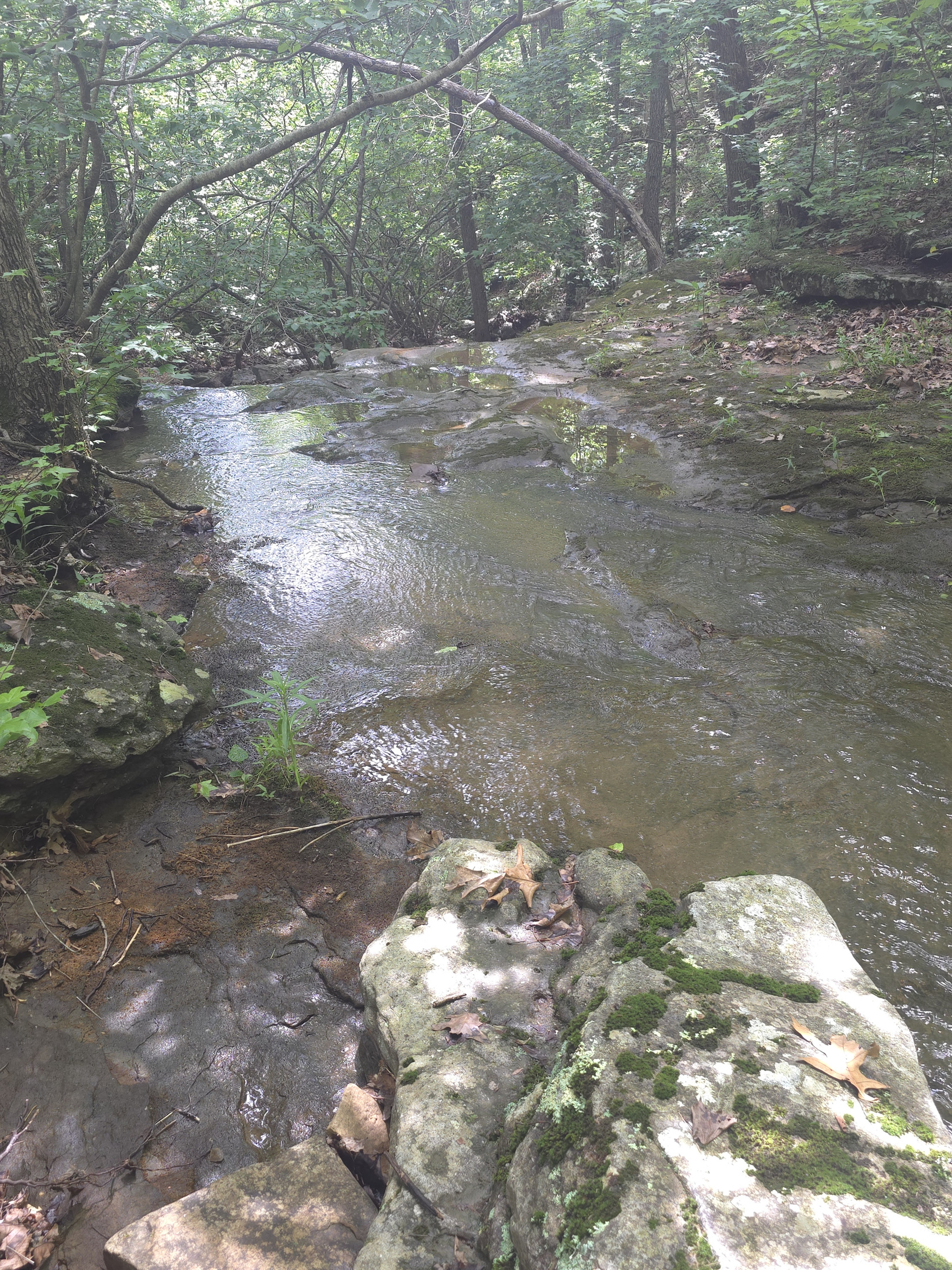 Waterfall Next To The Cabin