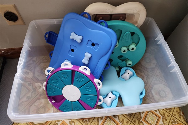 Brain-stimulating toys for enrichment.