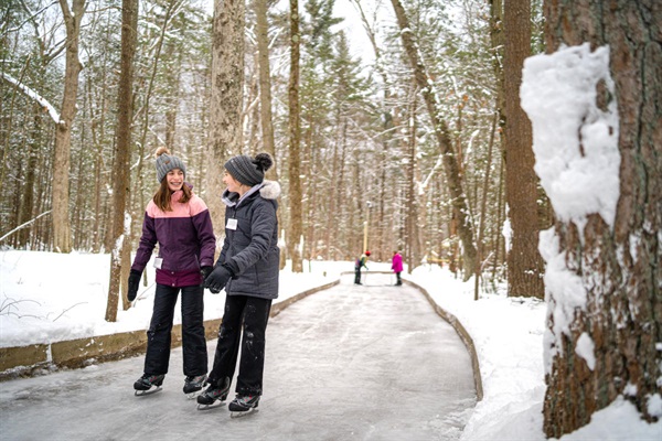 Daytime Skate Through the Woods - glide through a peaceful forest trail surrounded by fresh snow