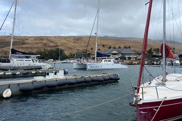 Whale watching, snorkeling, sunset cruises.