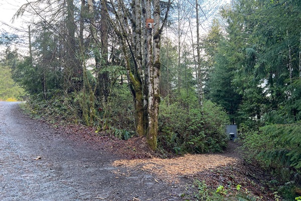 Path to Entrance Lit at Night