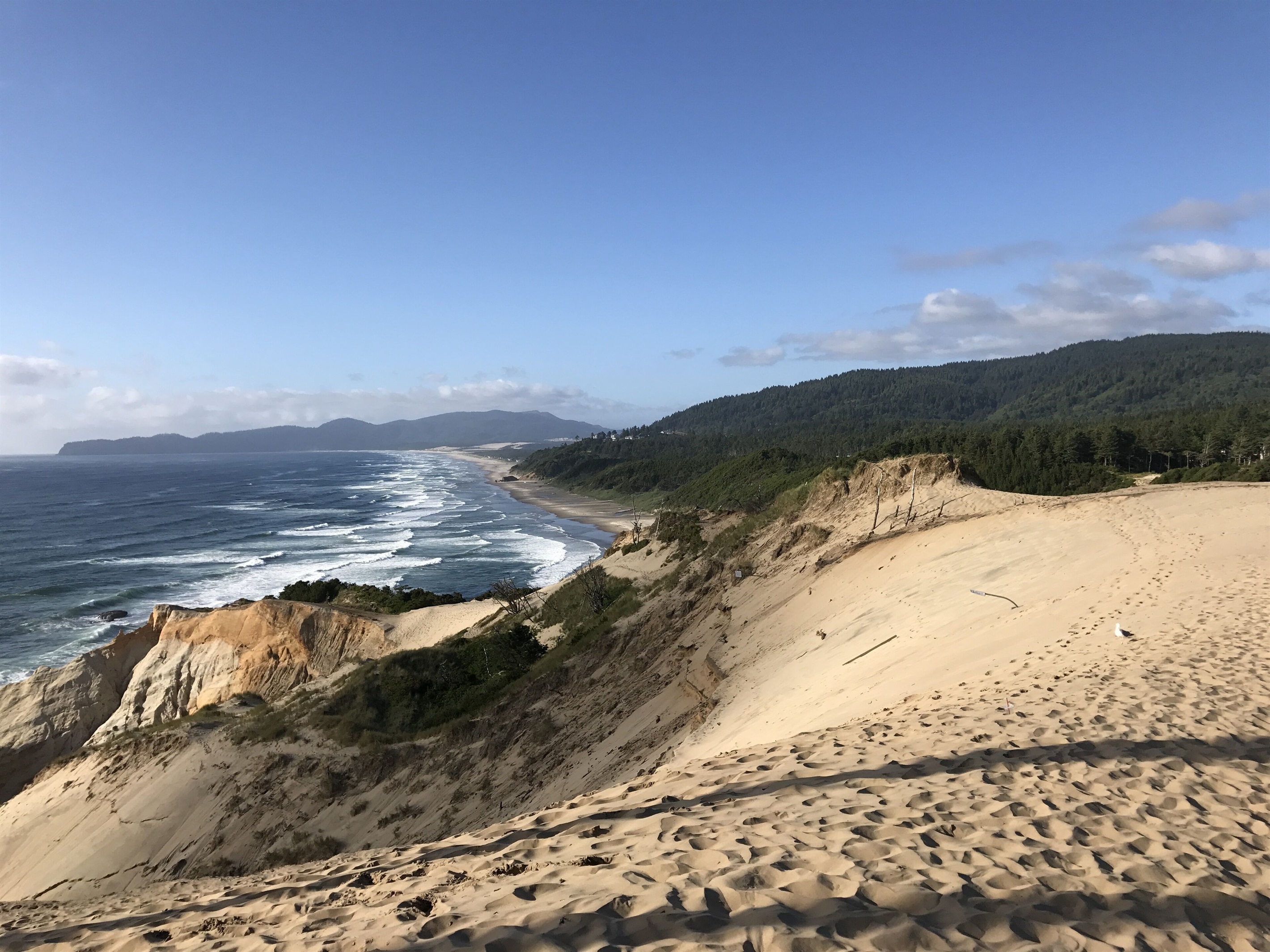 Top of Cape Kiwanda looking North at the stretch of beach in front of our house