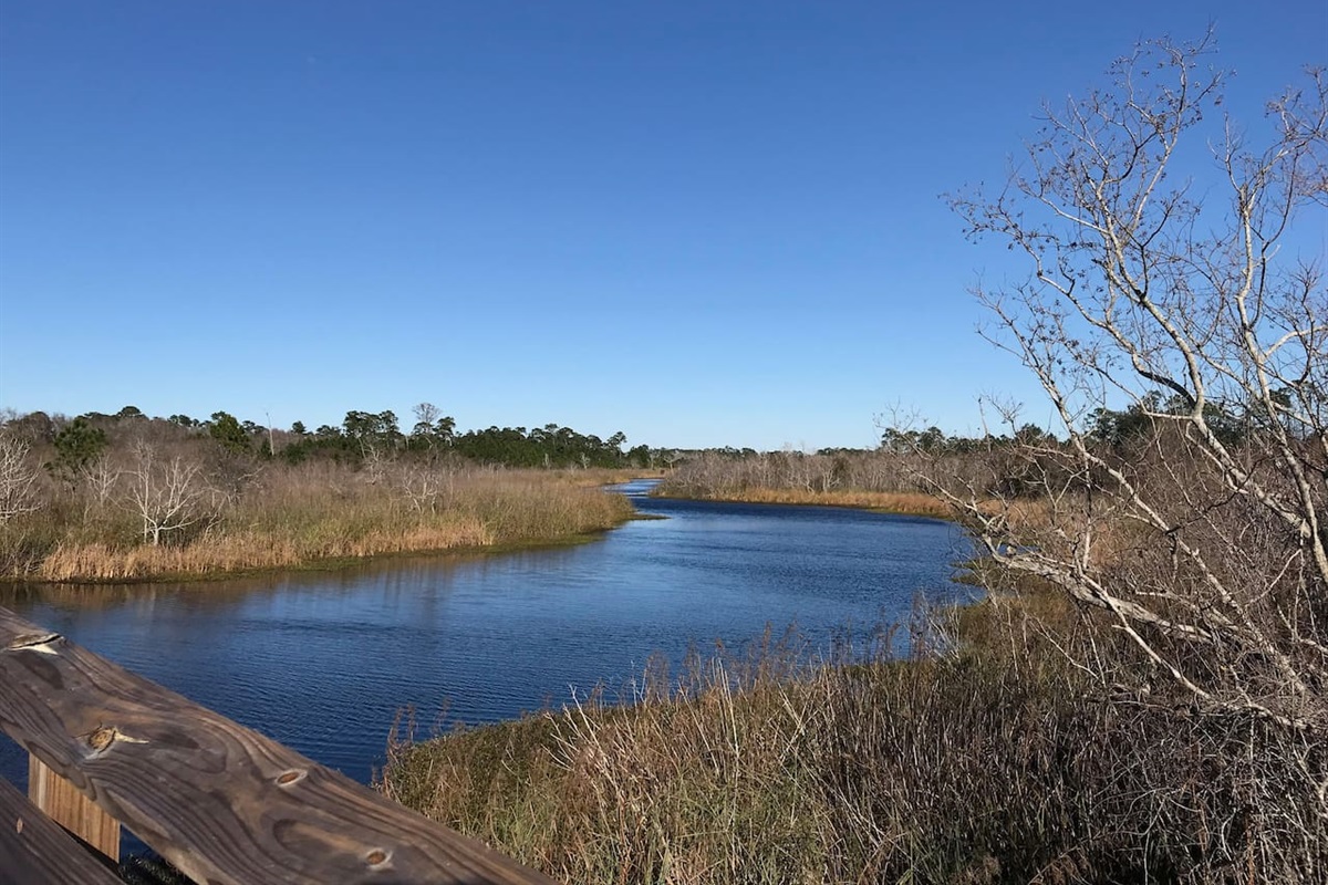 Wildlife viewing on bike trail.
