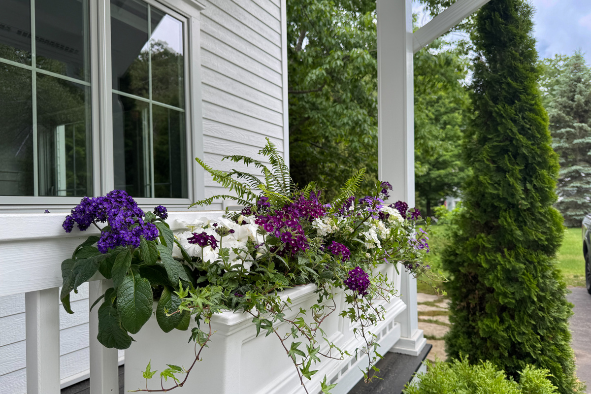 Exterior Flowers