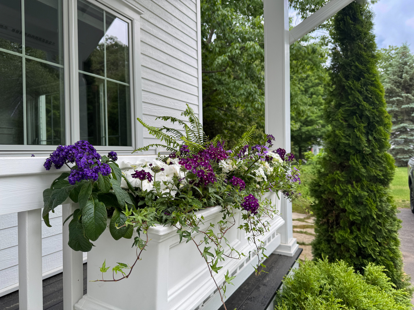 Exterior Flowers