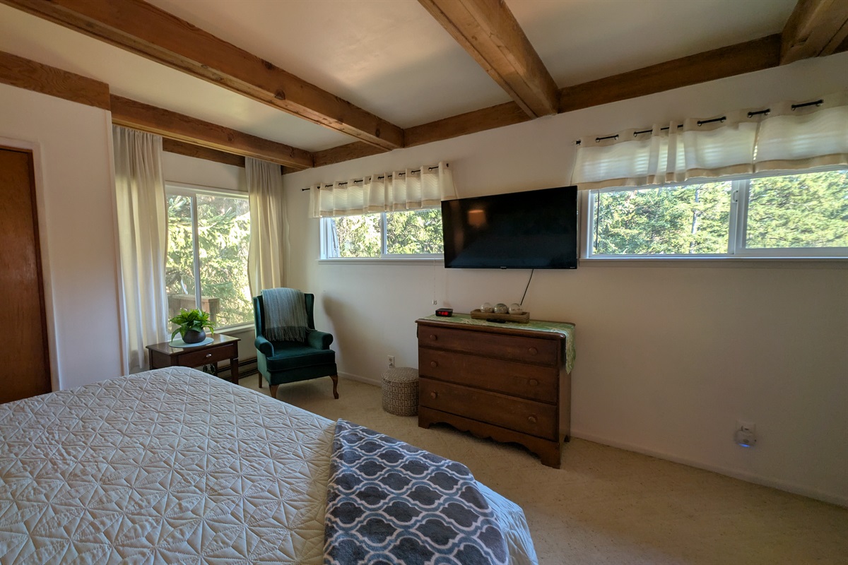 primary king bedroom with TV