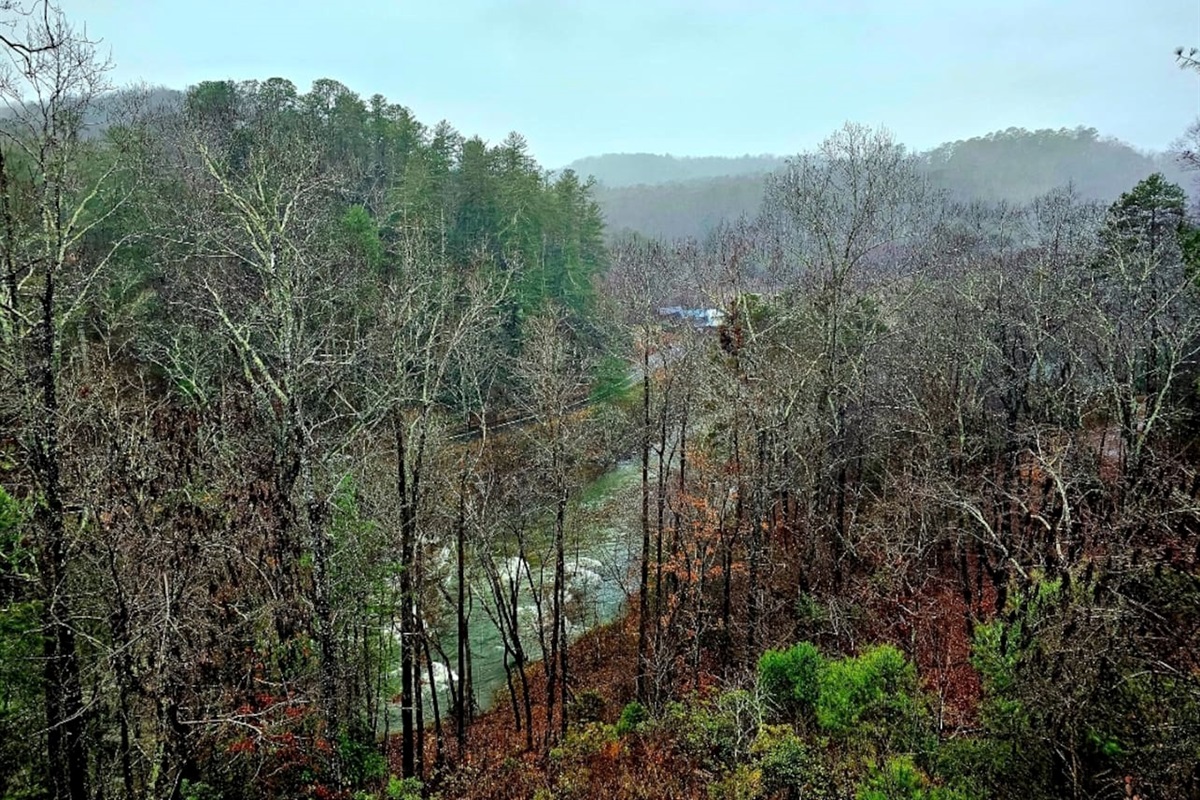 View from back deck and living room.