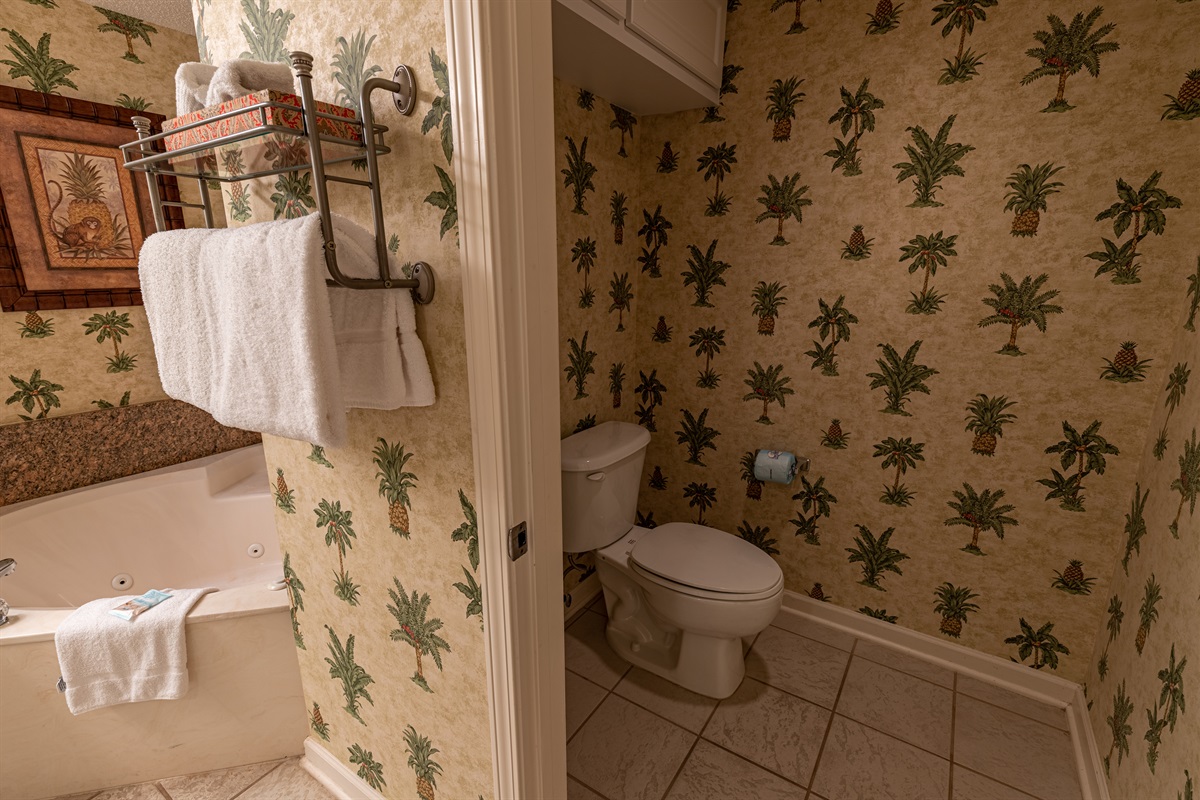 Main Bathroom
