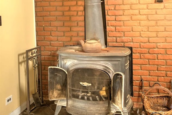 Wood burning fire place