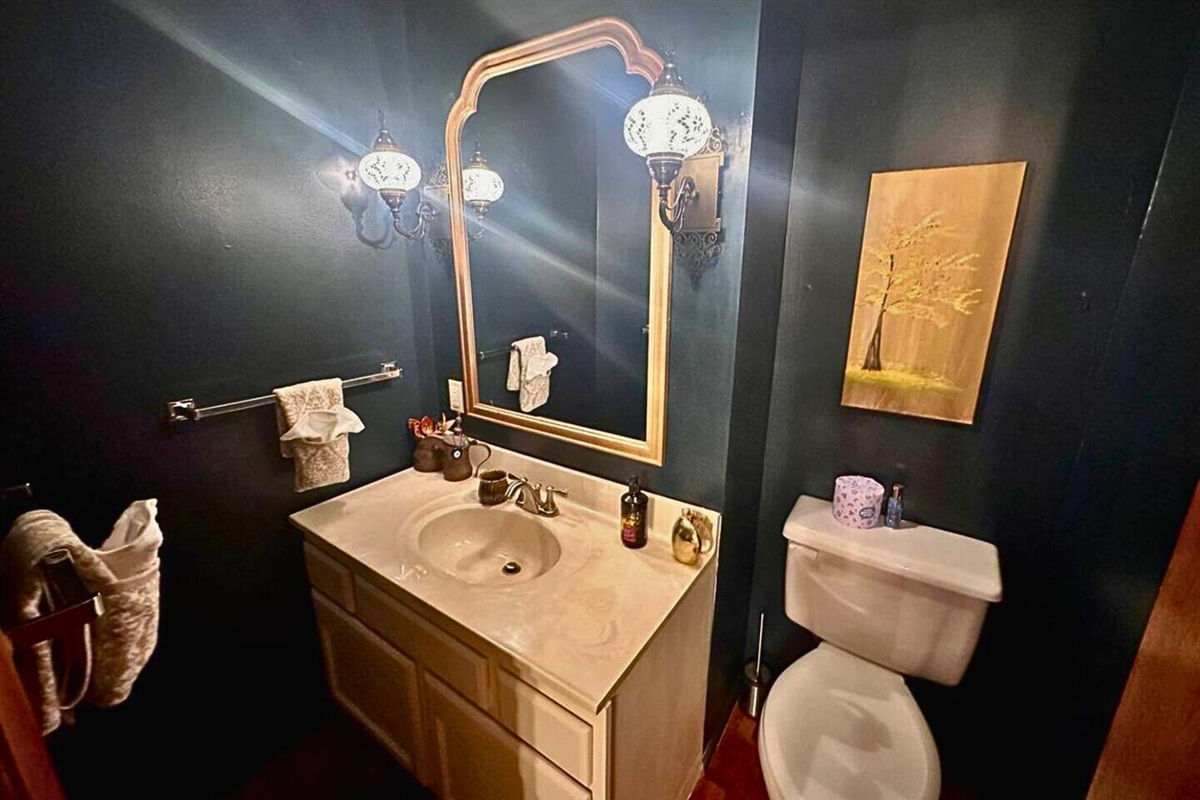 Dark and Moody Half Bathroom in the Primary Bedroom