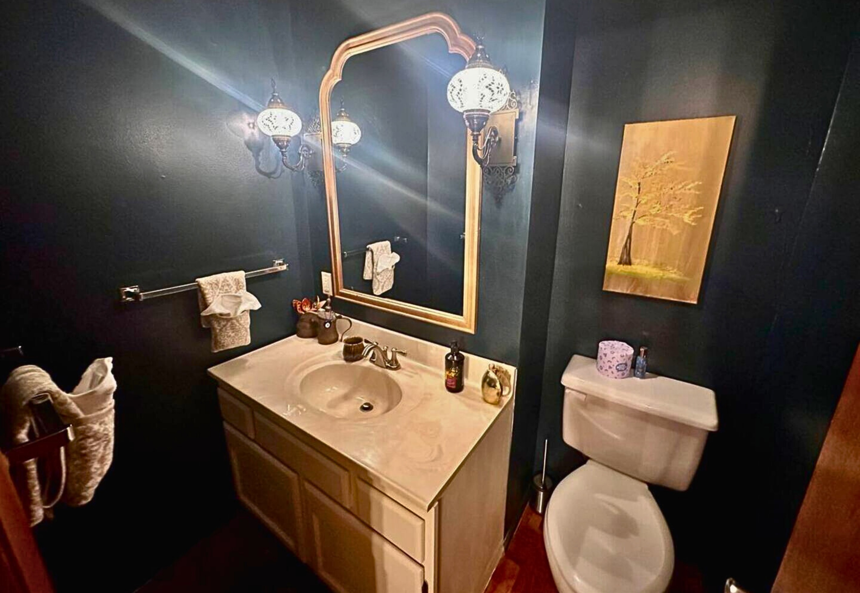 Dark and Moody Half Bathroom in the Primary Bedroom