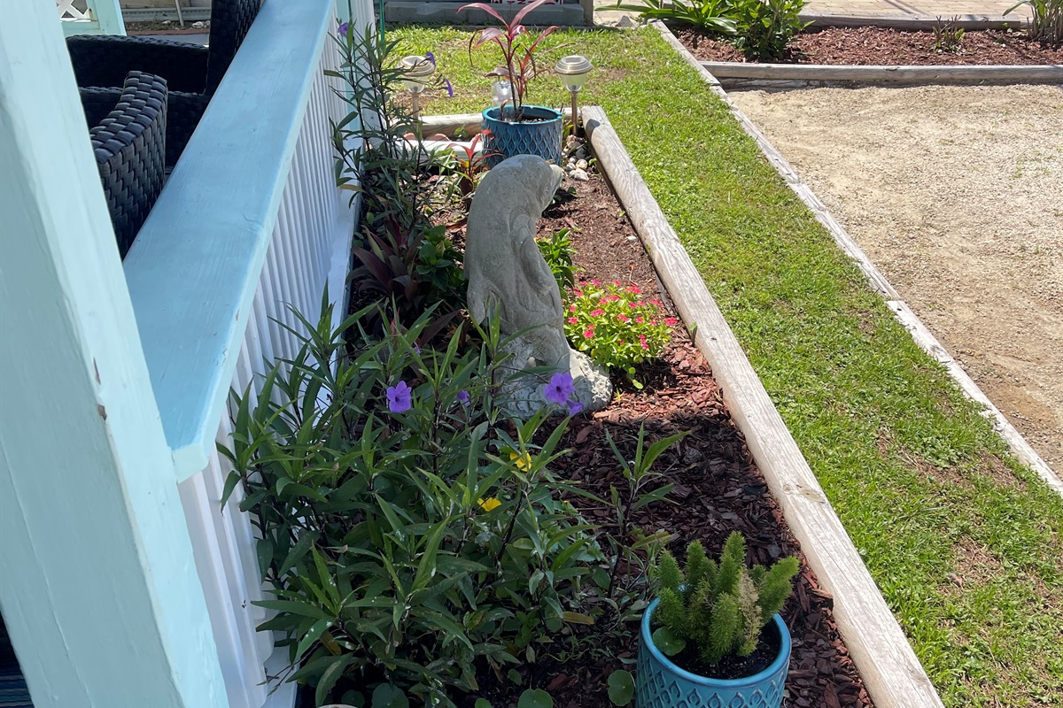 Front garden