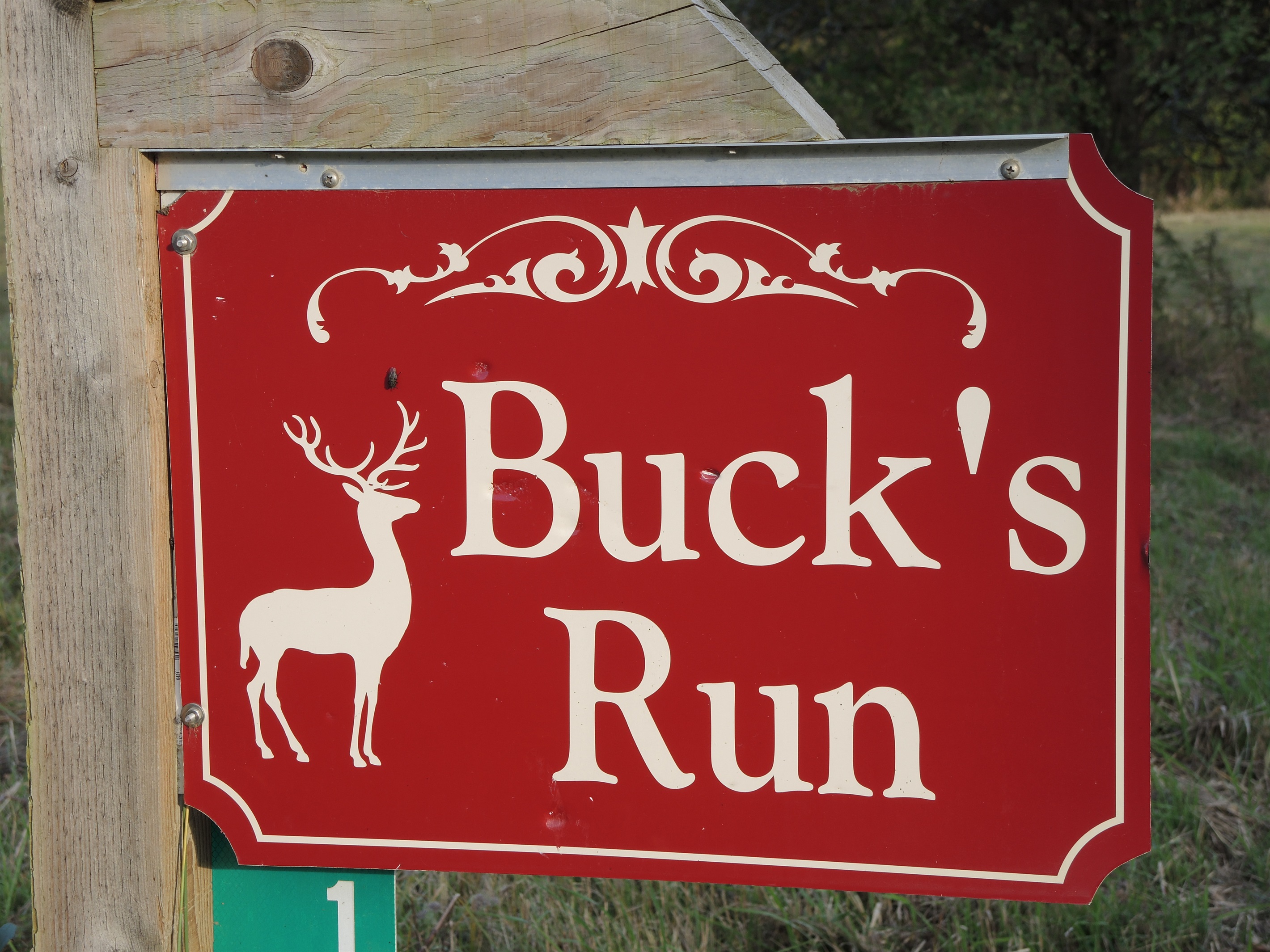 Buck's Run sign at road