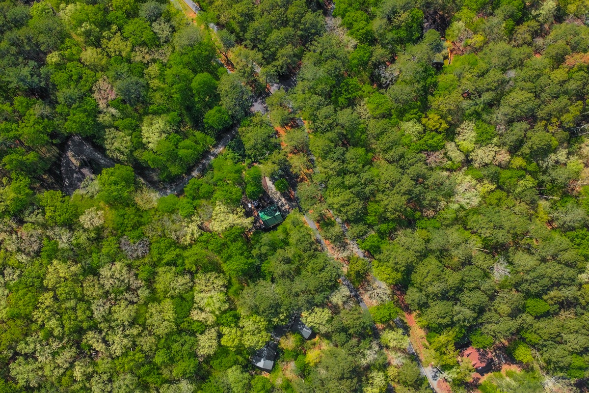 Look how the cabin is surrounded in the woodlands with pathway lights to enjoy all the waterfront and outdoor lounging spaces!