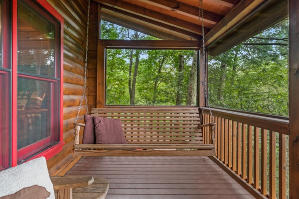 Swing on screened-in porch.