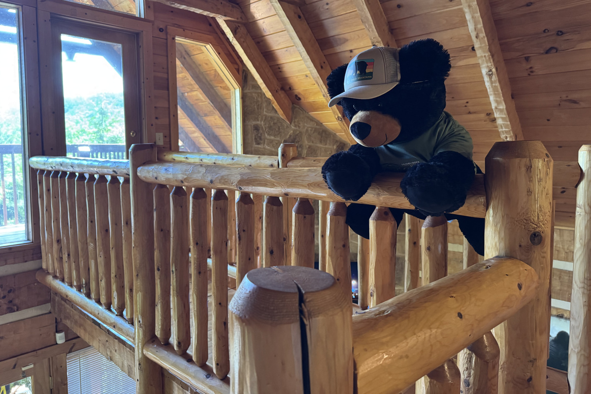 Your host Ridge Bear, scoping out the living room from the bridge.