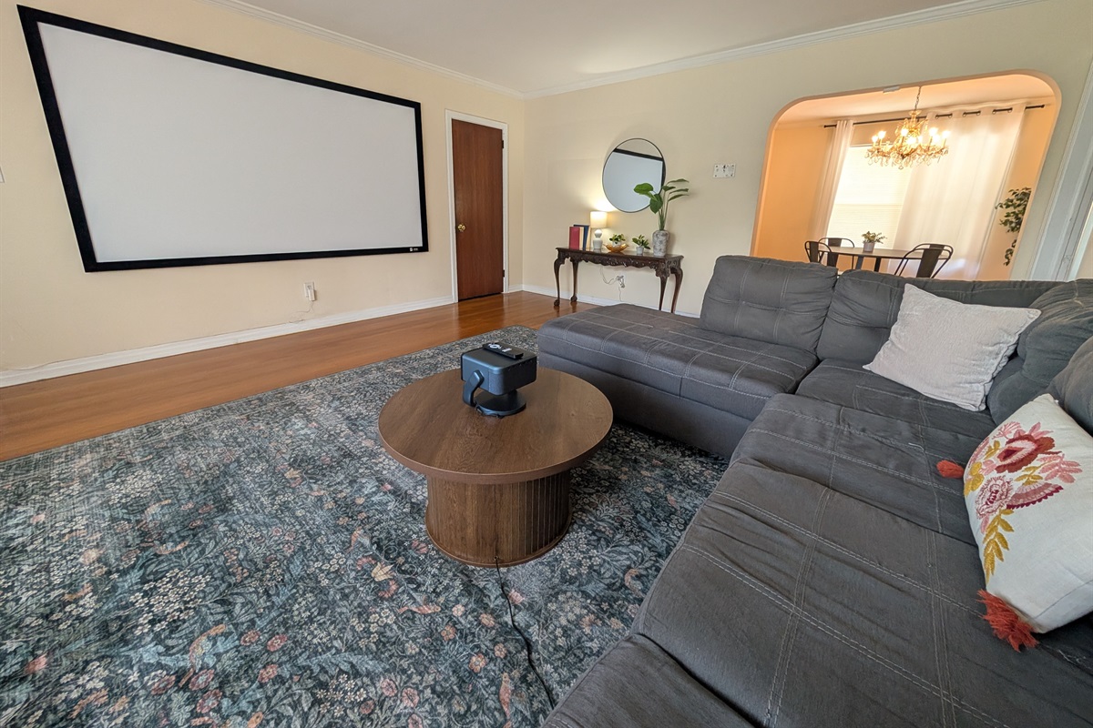 110 inch projector screen