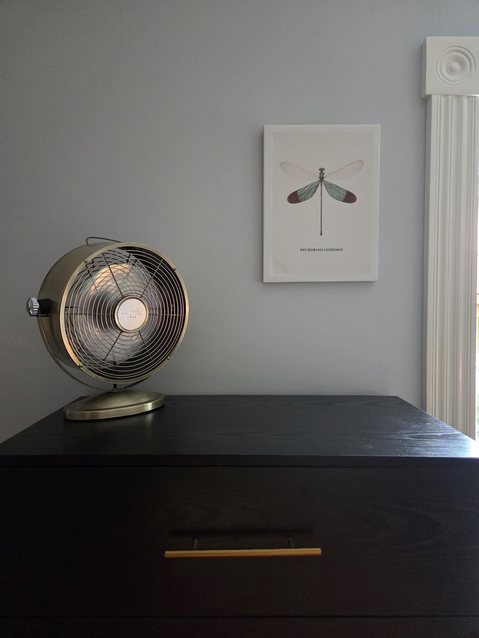 Dark Gray Bedroom