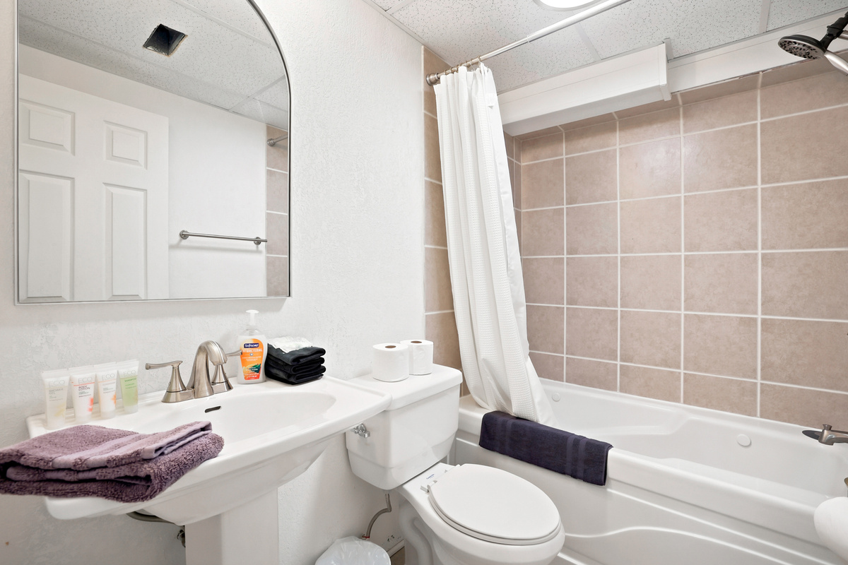 Downstairs Guest Bathroom
