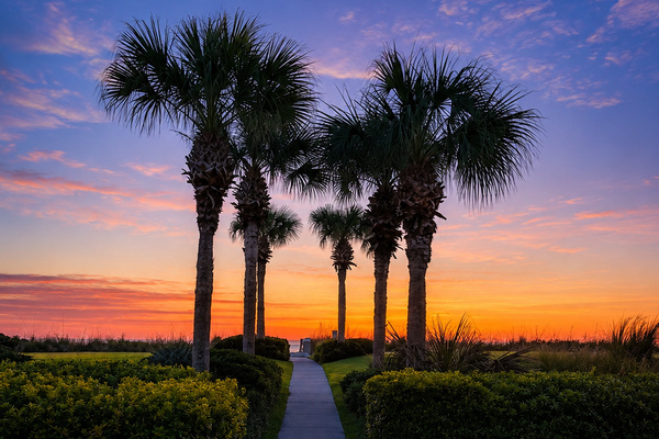 Follow the palm-lined path toward the sea, the sky ablaze in purple and gold. This short walk becomes a cherished family ritual—flip-flops in hand, little ones running ahead, the waves calling you all toward another perfect beach evening.
