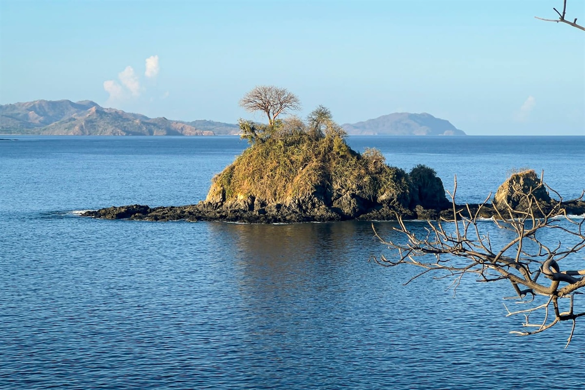 View looking towards Playa Potrero with Isolates Pitahayas in the center.  The trails around Las Catalinas are excellent and worth the trip.  Great for mountain biking, trail running and hiking.  We've seen a wild Tayra on this trail.  