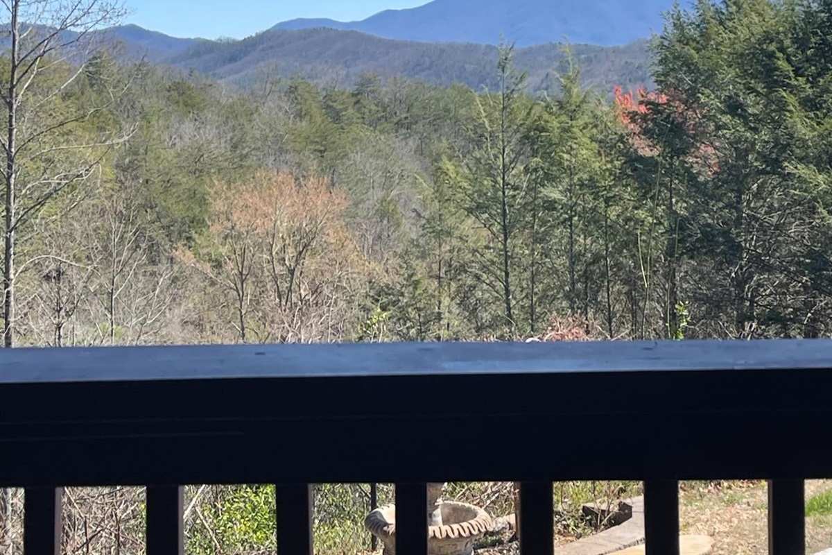 As spring emerges, the view just gets better!