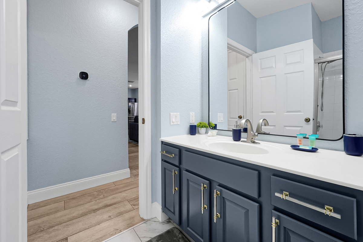 Downstairs bathroom vanity