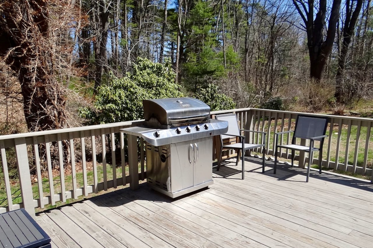 Outdoor grill for the family barbeques!!